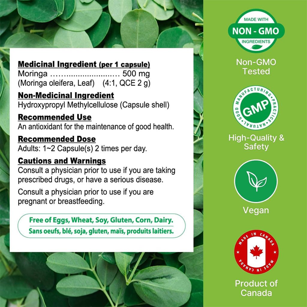 Nutridom MORINGA 4X CONCENTRATED, 120 VCaps